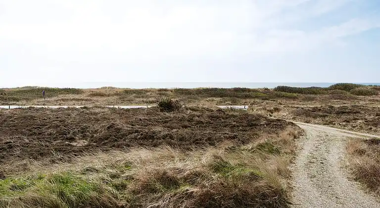 Sommerhus i Blåvand