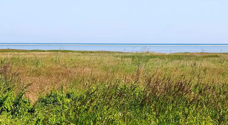 Sommerhus ved Helberskov Strand