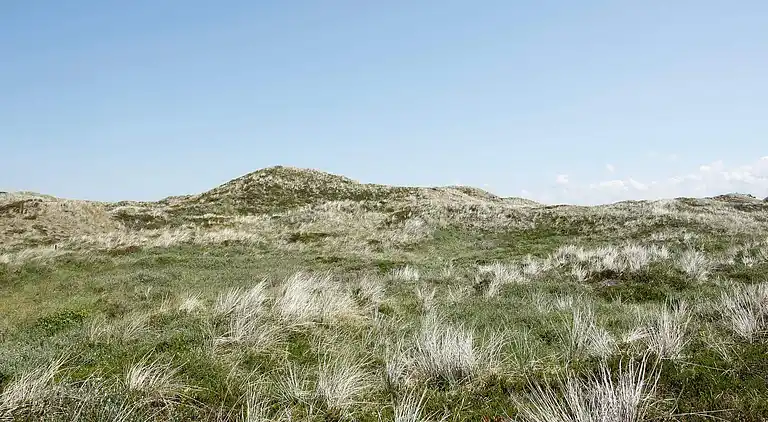 Holiday home in Pandrup