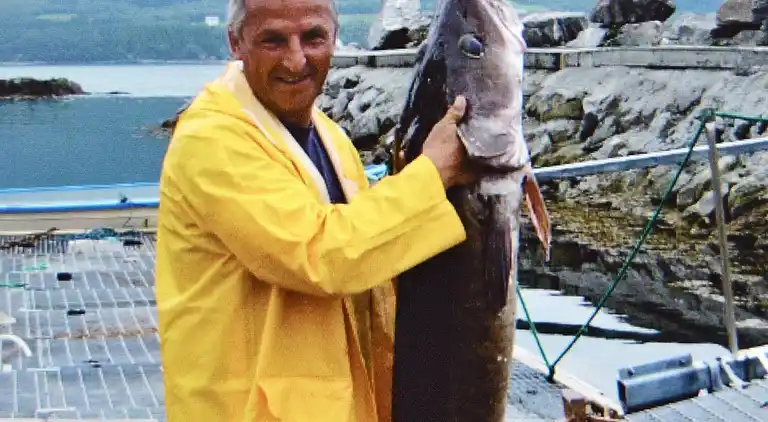 Sommerhus i Eidsvåg