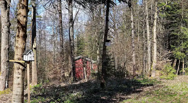 Sommerhus i Ljungby V