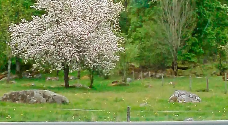 Holiday home in Ljungby Ö