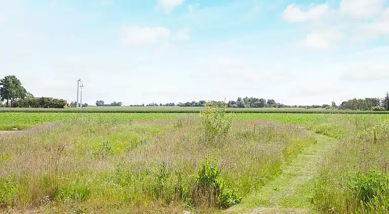 Holiday home in Dannemare