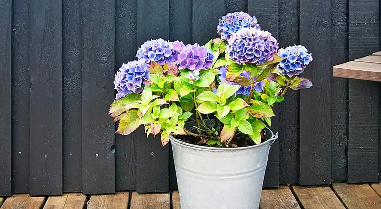 Holiday home in Fjerritslev