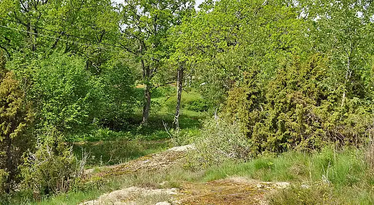 Vakantiehuis in Åmål S