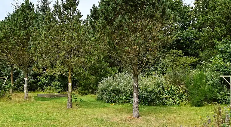 Maison de vacances en Ulfborg