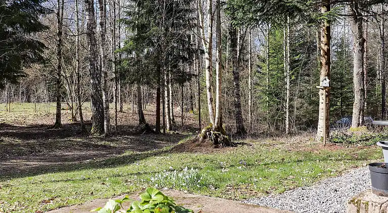 Sommerhus i Ljungby V