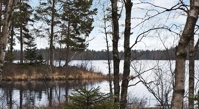Holiday home in Ljungby Ö