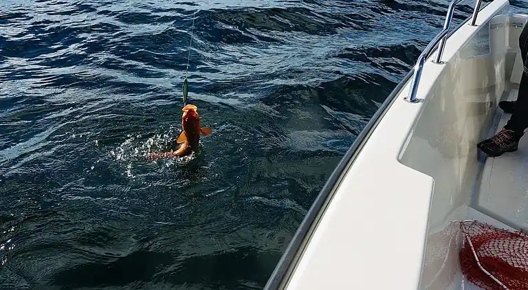 Holiday home in Austrheim