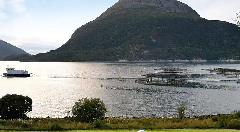 Holiday home in Korrnes