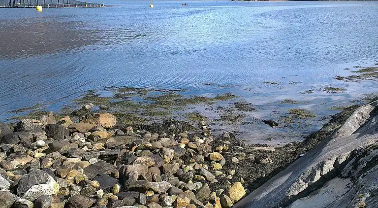 Holiday home in Korrnes