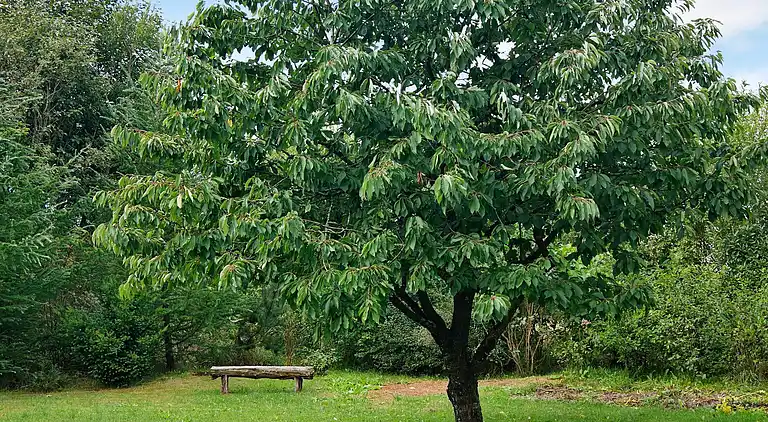 Holiday home in Fjerritslev
