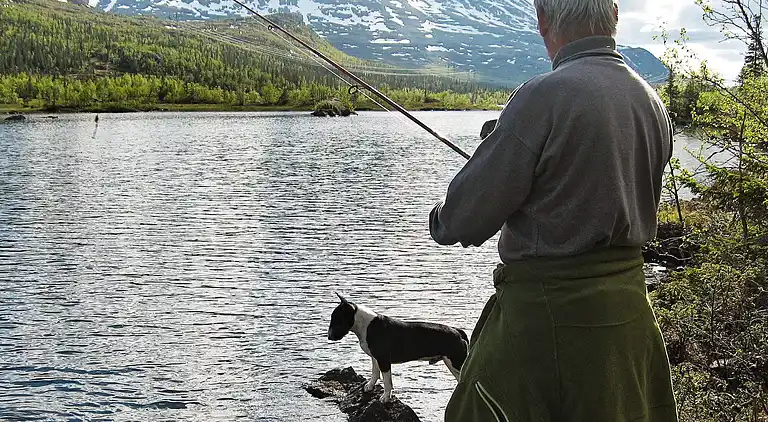 Sommerhus i Hjartdal