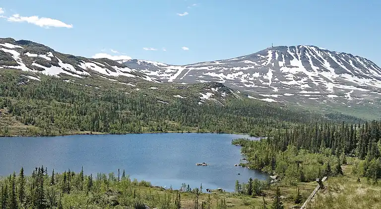 Sommerhus i Hjartdal