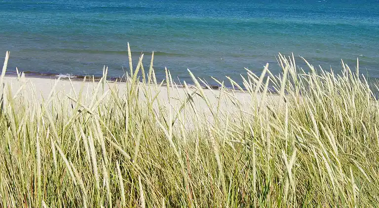 Holiday home in Ålbæk