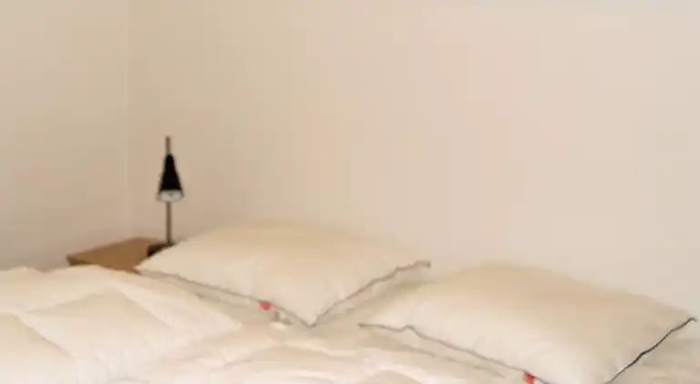 Sommerhus ved Hvidbjerg Strand