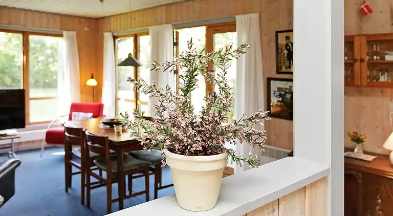 Sommerhus i Bork Havn