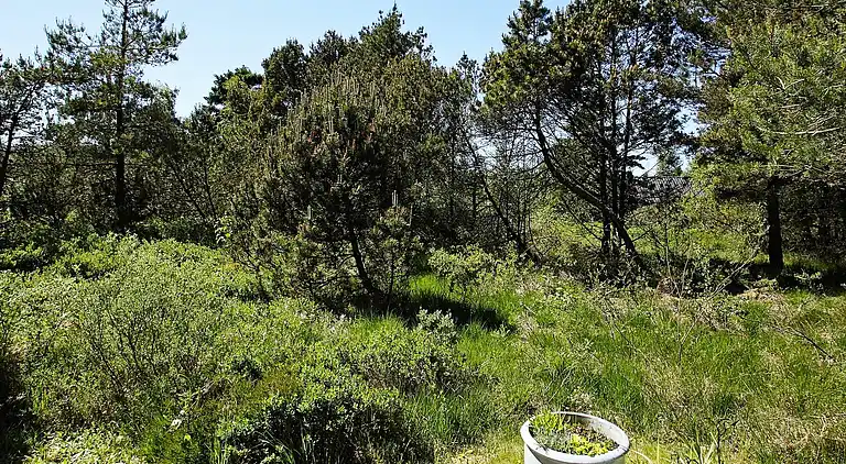 Holiday home in Fjerritslev