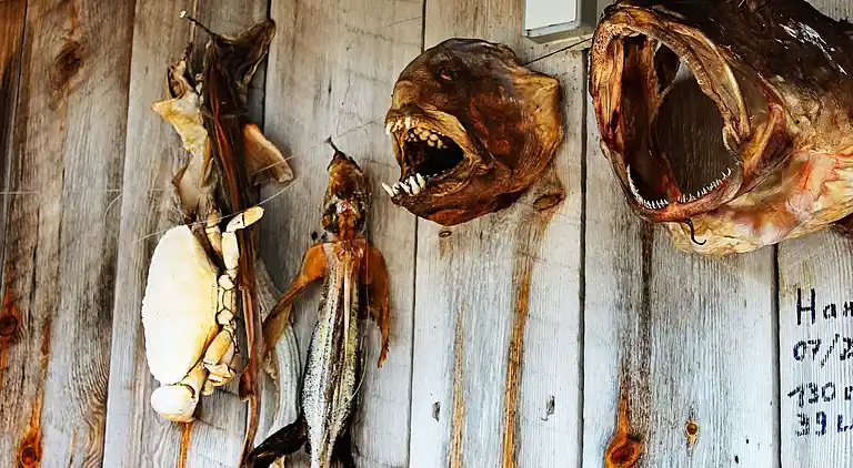 Holiday home in Vågland