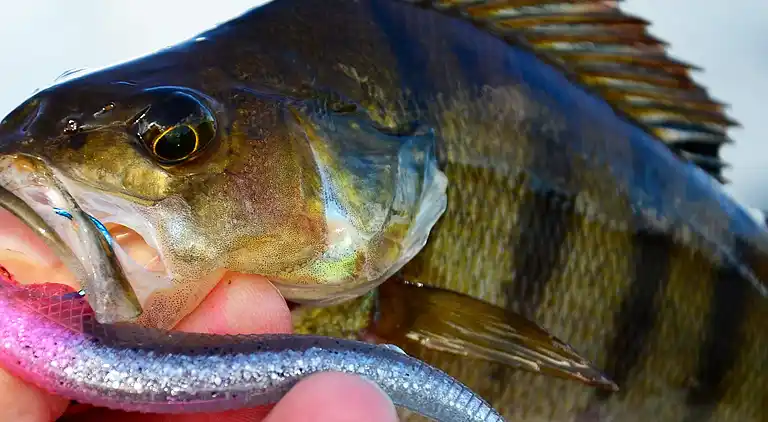 Sommerhus i Ljungby V