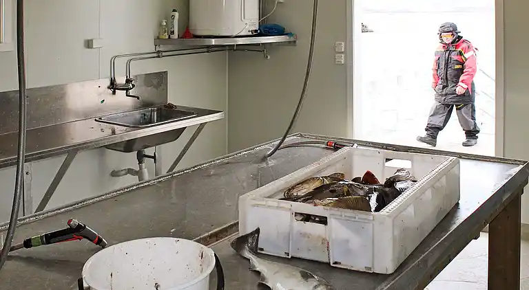 Holiday home in Vestvågøy