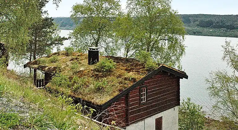 Sommerhus i Surnadalsøra