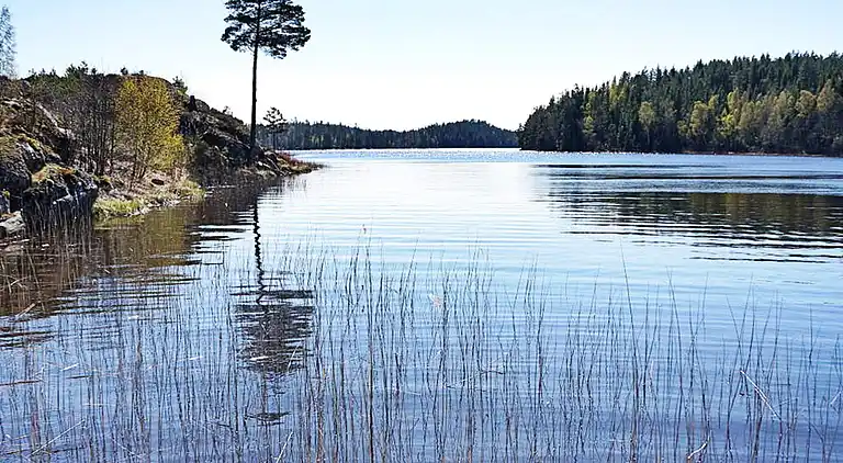 Sommerhus i Valdemarsvik Ö