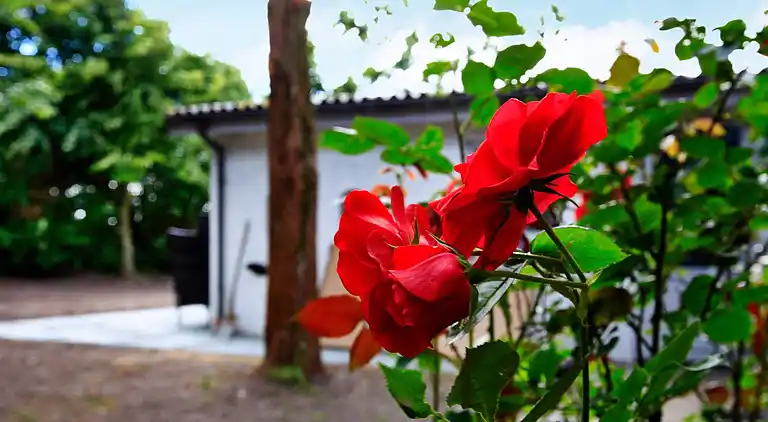 Sommerhus i Bredebro