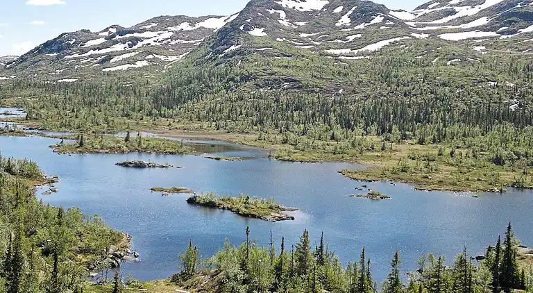 Sommerhus i Hjartdal