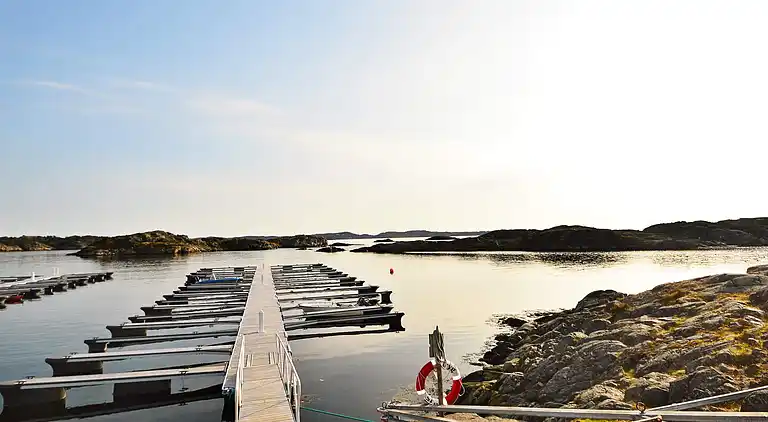 Vakantiehuis in Randesund