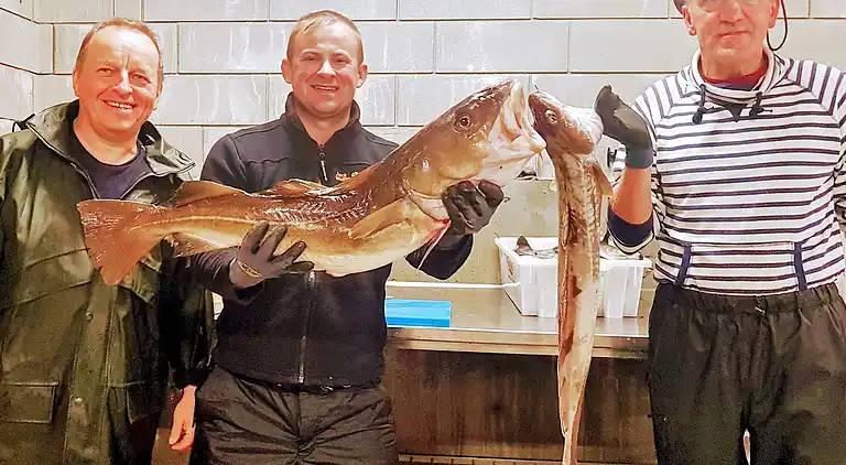 Holiday home in Austrheim