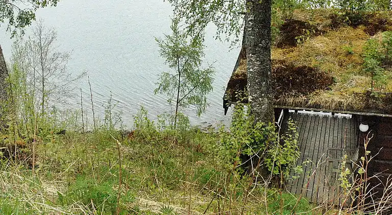 Sommerhus i Surnadalsøra