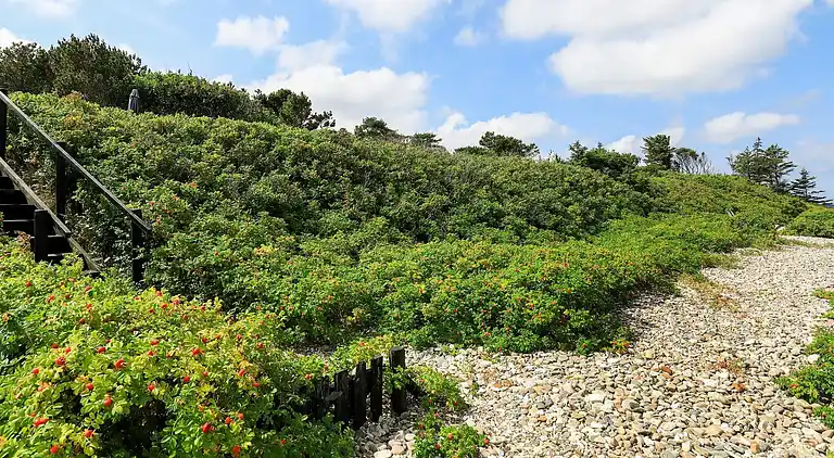Sommerhus i Græsted