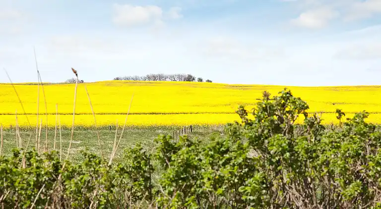 Holiday home in Gørlev