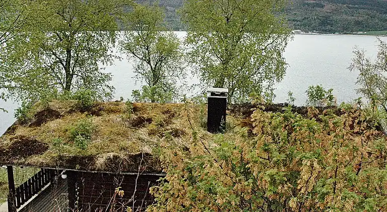 Sommerhus i Surnadalsøra