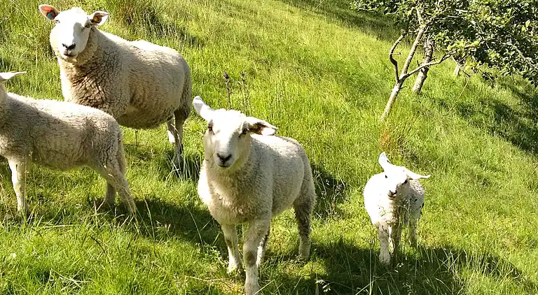 Casa vacanze in Volda