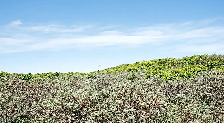 Holiday home in Nr Lyngby Strand