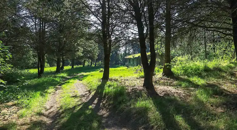 Holiday home in Blokhus