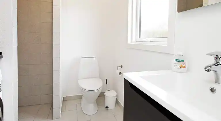 Sommerhus ved Skaven Strand