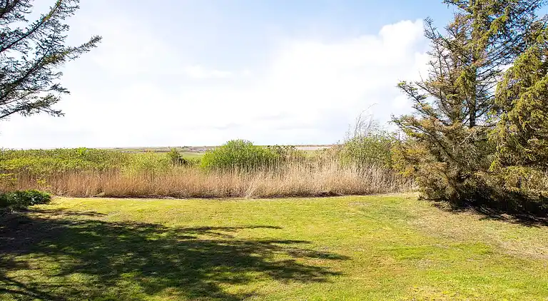 Sommerhus i Ellinge Lyng