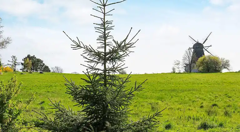 Holiday home in Bogø By