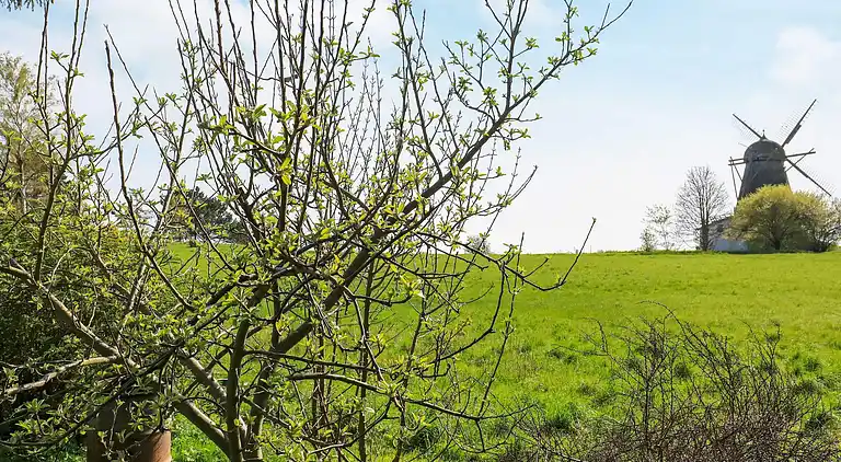Holiday home in Bogø By