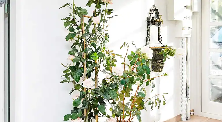 Holiday home in Rårup Østermark