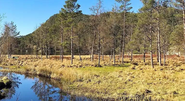 Holiday home in Tysnes