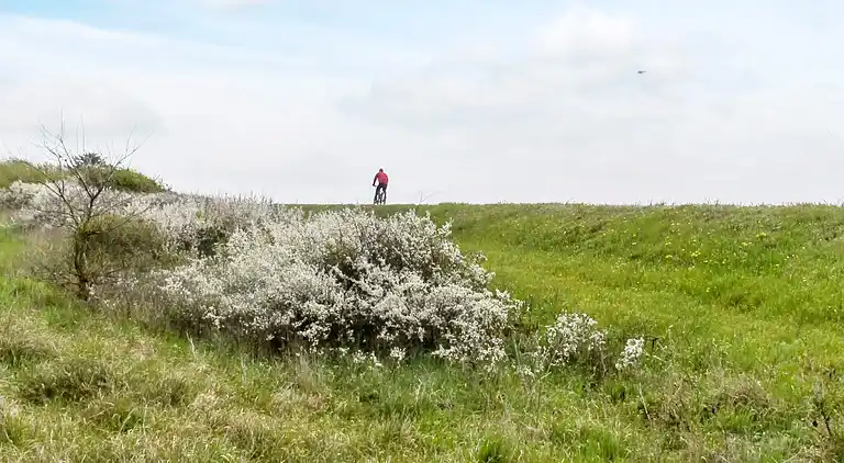Semesterbostad i Nakskov