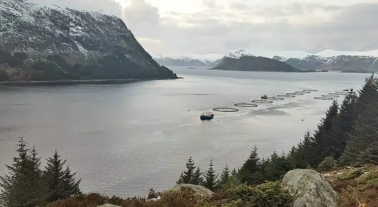 Vakantiehuis in Barmen