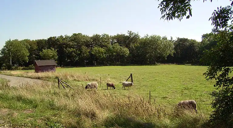 Feriebolig i Aakirkeby