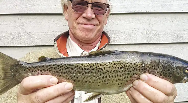 Casa vacanze in Indre Sanddal