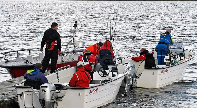Holiday home in Todalsøra