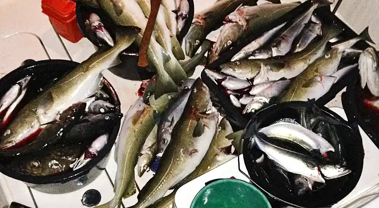 Holiday home in Breivikbotn